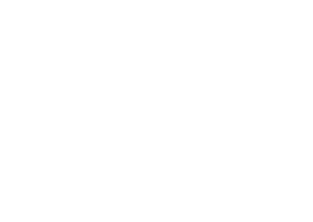 1x Skuter elektryczny Efun Deer